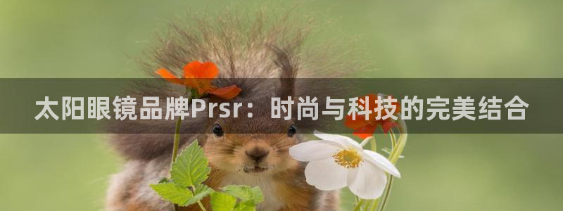 SKY娱乐卧龙主管60447