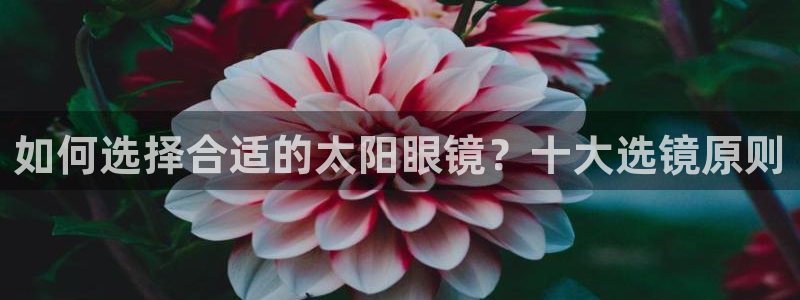 柏林娱乐 柏林卧龙 0