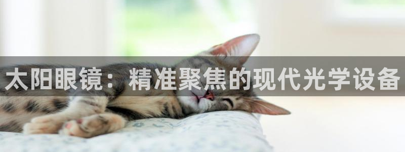 卧龙休闲娱乐优惠