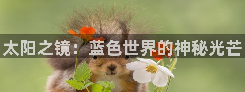 超越娱乐b卧龙313322