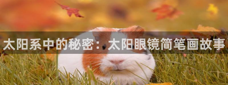 卧龙湾娱乐项目有哪些