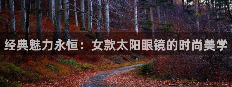 卧龙娱乐气垫项目投资