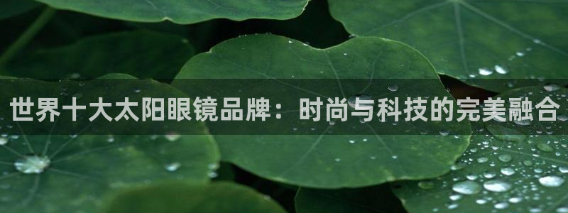 娱乐聚焦卧龙凤雏