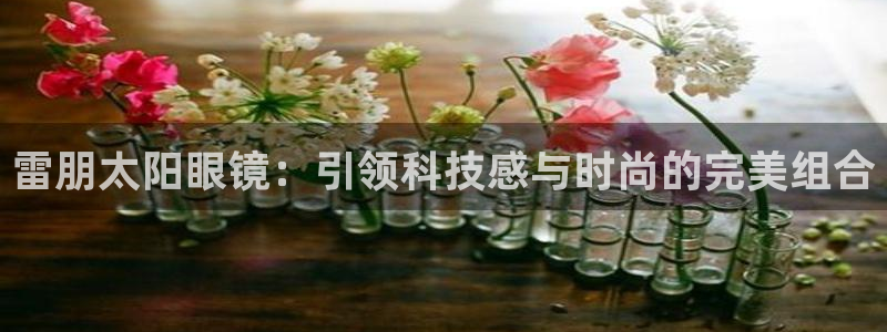 卧龙娱乐挂机软件下载
