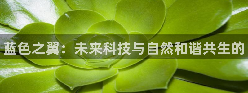 卧龙天尊国际娱乐会所