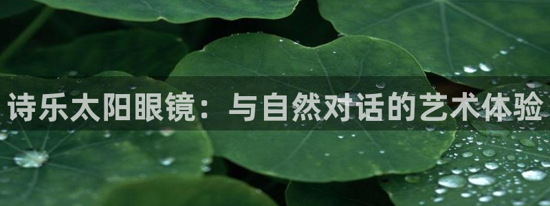襄阳卧龙镇娱乐