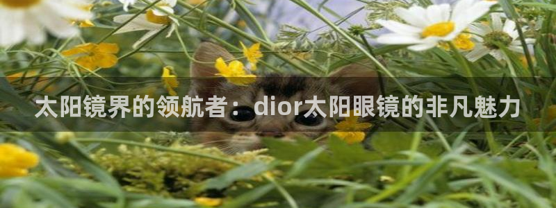 卧龙休闲娱乐推荐