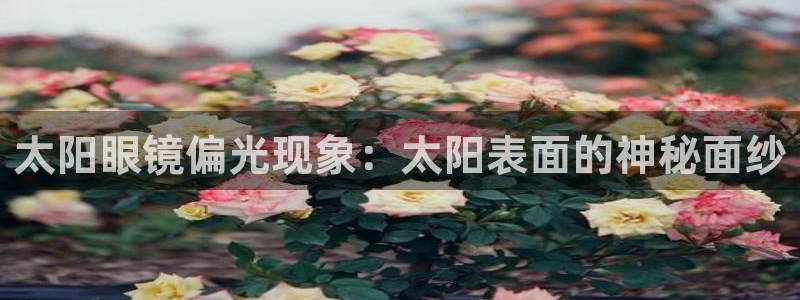 卧龙娱乐是真假吗