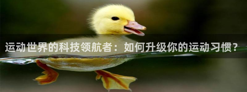 卧龙湾娱乐项目有哪些