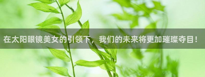 卧龙娱乐设备公司