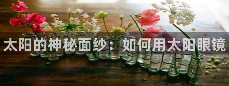 卧龙娱乐天