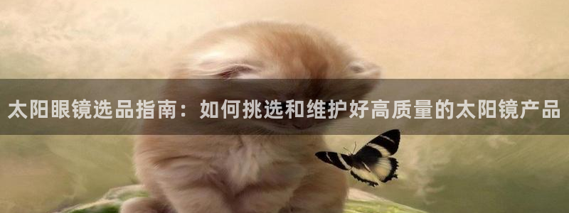 卧龙区娱乐