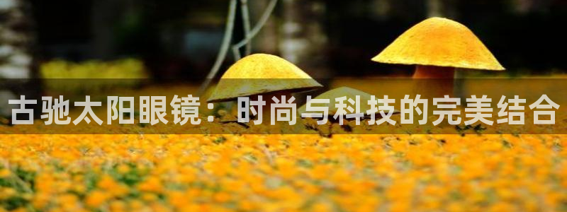 卧龙娱乐322901