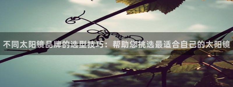 星酱娱乐卧龙