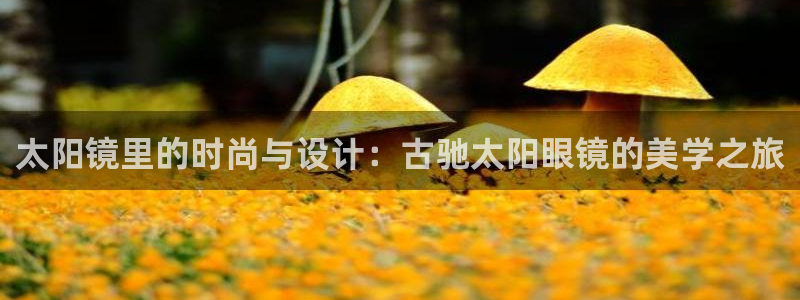 卧龙娱乐招商主管薪资